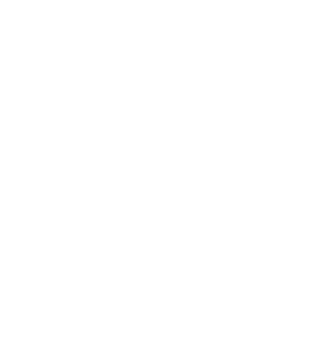 2AF LOGO PNG - Transparent Light